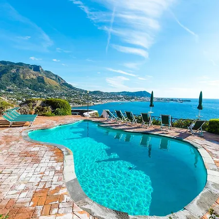 Pitosforo Ischia